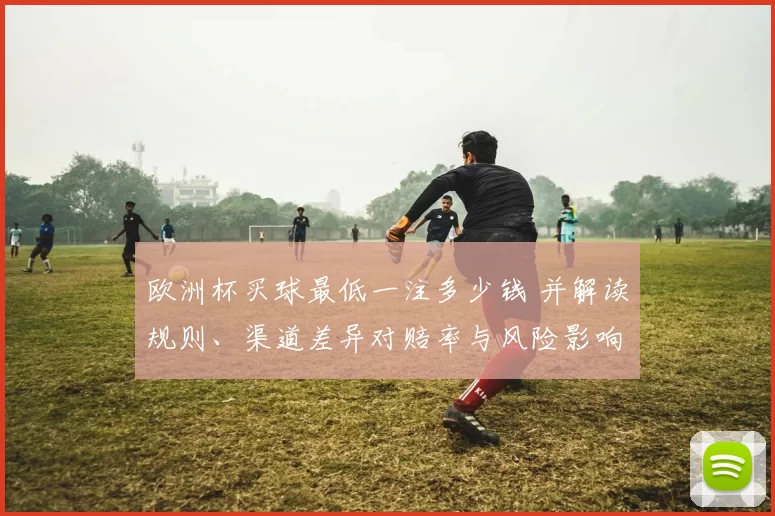欧洲杯买球最低一注多少钱 并解读规则、渠道差异对赔率与风险影响