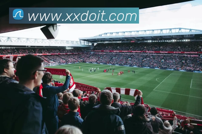 App Interface Preview